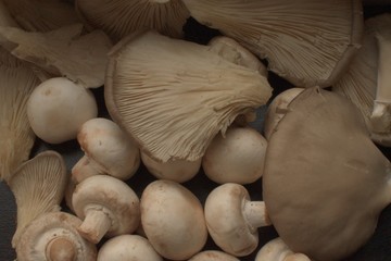 frutas , verduras, hortalizas