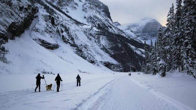 Tourists Along With The Pet Dog Skiing Slowly Inside The Banff National Park Going To The Rocky Mountains Of Canada. wide shot