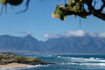 beautiful along the coast with tropical vibes