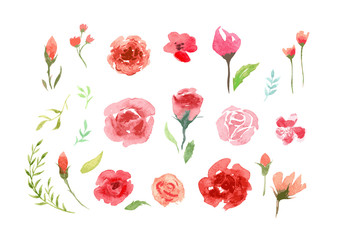 Watercolor aquarelle roses and leaves.