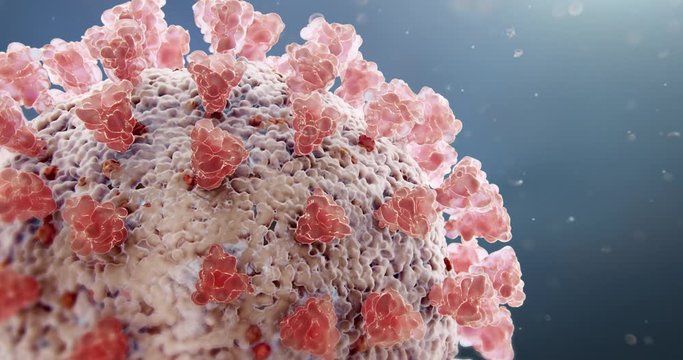 Microscopic view of Coronavirus COVID-19 (2019-nCoV) Visualization equal to Influenza, Flu or SARS. High quality realistic medical 3d rendering illustration animation for background in 4K and HD.