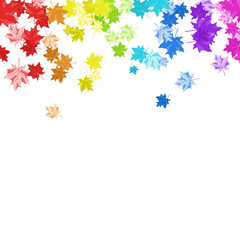 Rainbow Maple Leaves