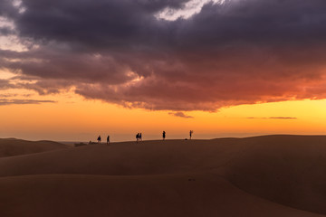 Obraz premium Sand dunes around a city full of people walking down the dunes overlooking the ocean located behind the dunes of Gran Canary island
