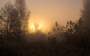 Bright frosty morning