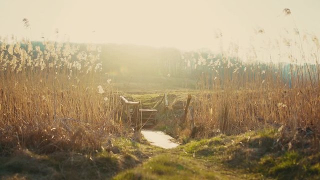 Idyllic scenery. Cinematic landscape with wheat grass, rural field horizon and beautiful countryside nature background. Sunshine. Early spring.