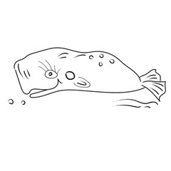 vector illustration of a whale