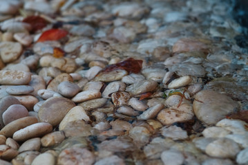 Wet of colorful pebble from waterfall steam