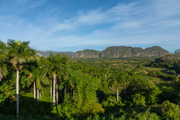 The Vinales Valley (Valle de Vinales), popular tourist destination. Tobacco plantation. Pinar del Rio, Cuba.