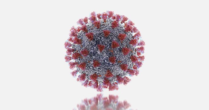 Microscopic view of Coronavirus COVID-19 (2019-nCoV) Visualization equal to Influenza, Flu or SARS. High quality realistic medical 3d rendering illustration animation for background in 4K and HD.