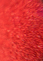 Abstract background and texture. Bright highlights on a red synthetic surface