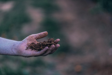 
Roots extracted during the growing season