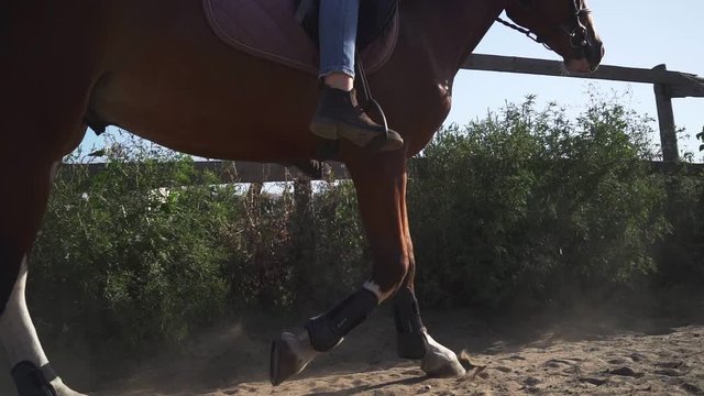 People rider riding horseback a horse. Slow motion. Shooting on the Steadicam. From under the hooves flying dust and sand