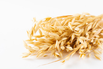 Golden ripe plant ears of oats on a white background, isolated from the background. Selective focus.