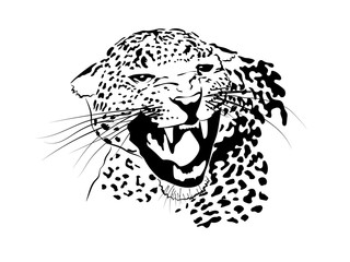 Leopard Jaguar Tiger Big Cat Predator Logo.Svg .Eps .Png Vector Cricut Cut Cutting