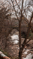 Fiume ruscello autunno