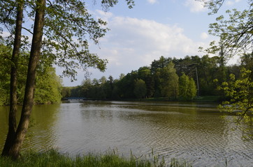 slow river in the forest