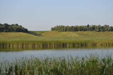 slow river near the forest