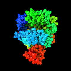 Human ACE2 receptor, 3D illustration. Angiotensin Converting Enzyme-Related Carboxypeptidase, a membrane protein which is used by SARS-CoV-2 virus to enter the human cells
