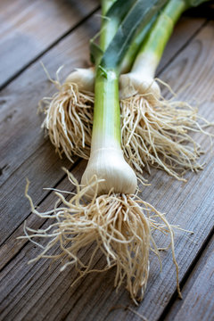 Green garlic on wooden table