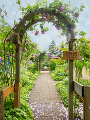 English cottage garden with an arch trellis and pink roses growing over it along a brick garden...