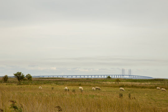 Il ponte sullo stretto di &Oslash;resund visto da Drag&oslash;r, Copenhagen, Danimarca.
