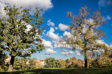 berlin, deutschland - viktoriapark in kreuzberg