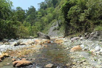 River in the foot of a green mountain