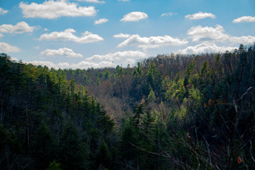 Obraz premium Quiet valley