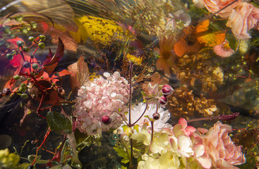 Obraz na płótnie Canvas Multicolored flowers inside in water, black background, soft focus