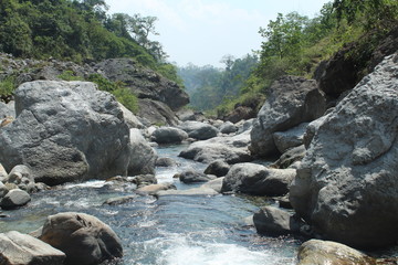Shallow river flow and greenery