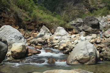 Mountain riverbank full of stones and greenery