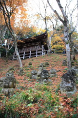 Jizō (Japanese stone statues) at Otagi Nenbutu-ji temple in kyoto Japan