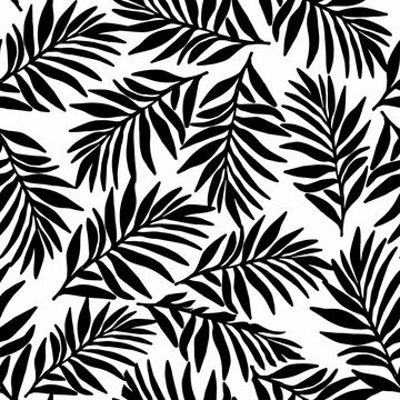 silhouette of palms leaves pattern on white background.