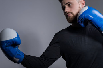 Close-up of a bearded aggressive athlete in boxing gloves, getting ready, stabs. On a gray...