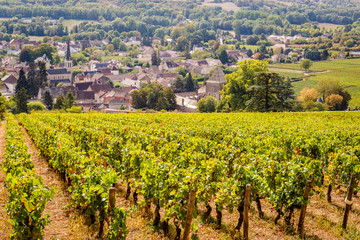 Fototapeta na wymiar 16 September 2019. Santenay village in Burgundy, France.