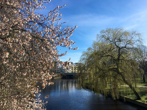 Blick auf die Alster in Eppendorf
