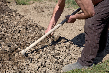 A man cultivates land with a hoe. Holds a hoe.