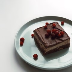 chocolate cake with cranberry