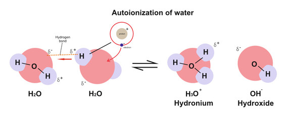 Autoionization of water (self-ionization of water)