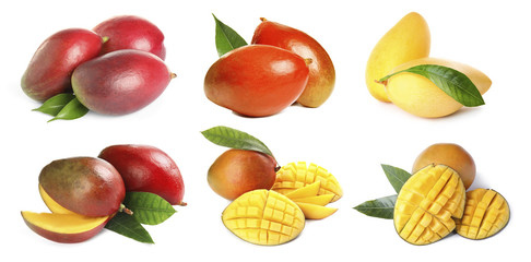 Set of delicious mangoes on white background. Banner design