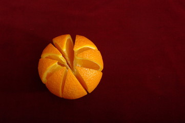 Orange blossom. Maroon background. Juicy slices.