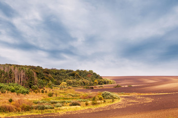 Rural landscape with plowed field near forest