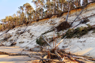 Baltic sea coast with sandy steep coast