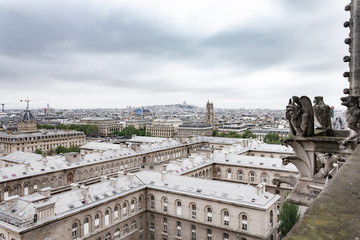 Fototapeta premium Paris in early spring with overcast sky