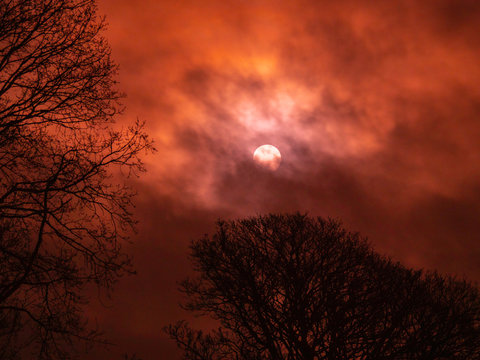 Full moon in red sky behind clouds