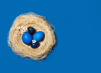 Easter eggs in trendy blue colors in the nest. The concept of stylish natural decoration for Easter, minimalistic, zero waste, greeting cards, etc.