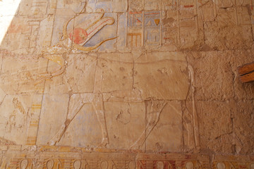 
Ancient Temple of Hatshepsut, Egypt