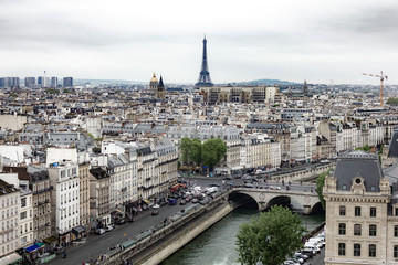 Paris in early spring with overcast sky