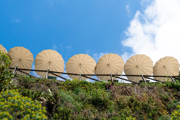 Umbrellas