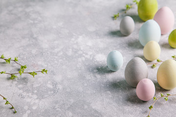 Happy easter concept. Multicolored easter painted eggs and branches with buds on a gray background.